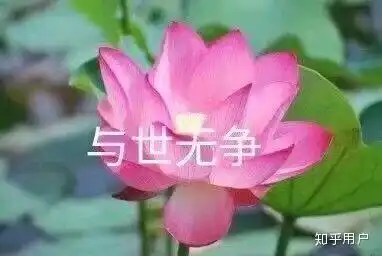 在萧山六中学习是种怎样的体验