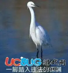 在违法的边缘试探系系列表情包大全合集