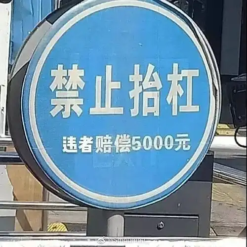 cp文学