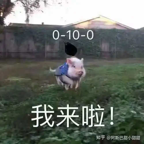 有哪些特别好玩搞笑的英雄联盟表情包呢