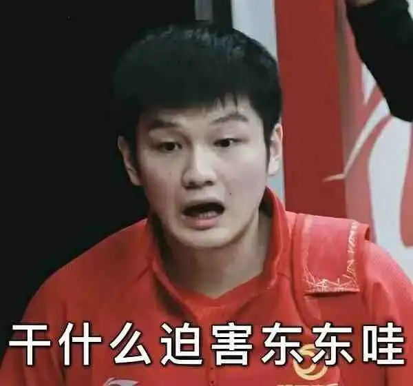 樊振东我不搞这个是什么梗表情包今日头条