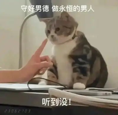 share搞怪沙雕表情包