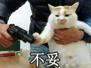 你有哪些压箱底的表情包