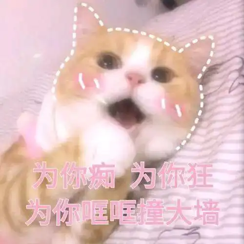 宋茜萧亚轩能和小奶狗谈恋爱抗老做的好老公在高考