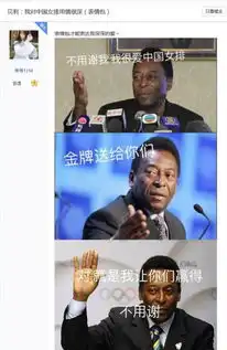 女排时隔12年后再上巅峰百度贴吧表情包狂欢