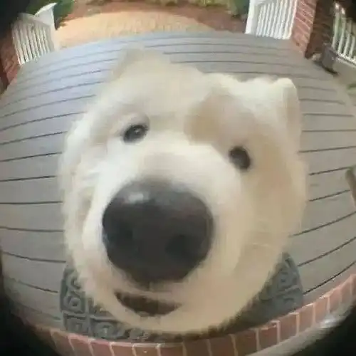 治愈