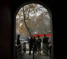 栖霞红叶红似火