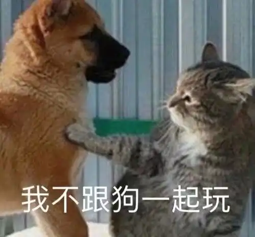百万吧友手撕奸商,闲鱼成了我的快乐源泉