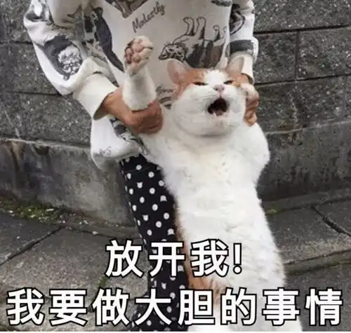 放假啦给你一份假期生活攻略
