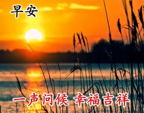 新的一天早上好问候语图片,13张唯美的早安祝福语图片表情合集