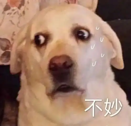 每日一笑半夜听到男朋友喊你宝宝时小心了网友评论笑到头发卷进吹风机