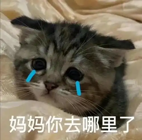 分享一些跟父亲发的表情包