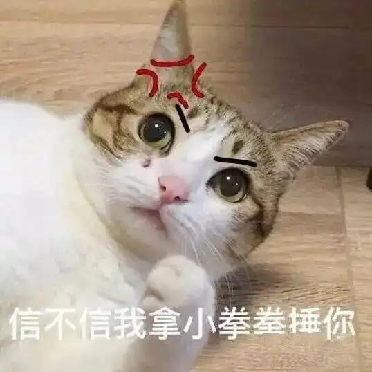 长得可爱就是麻烦丨第312期喵表情包