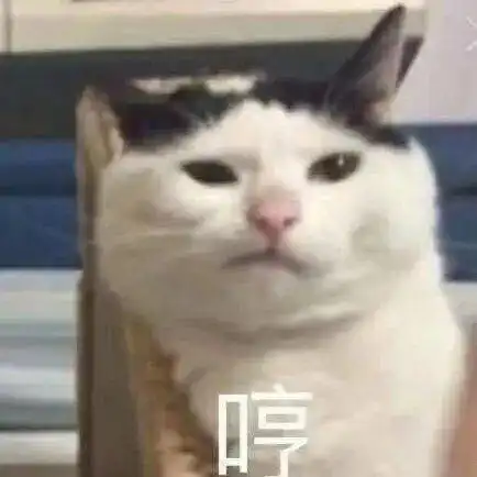 长得可爱就是麻烦丨第312期喵表情包