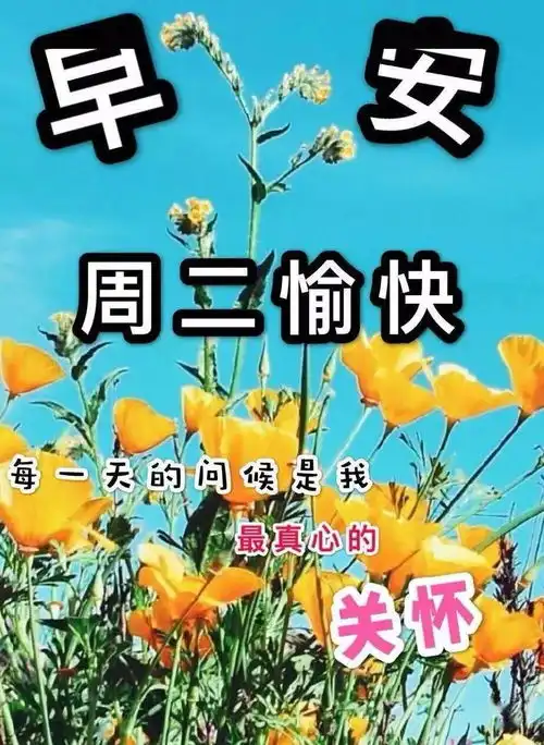 最新周二早上好表情包,小小的问候,带给你一天的快乐