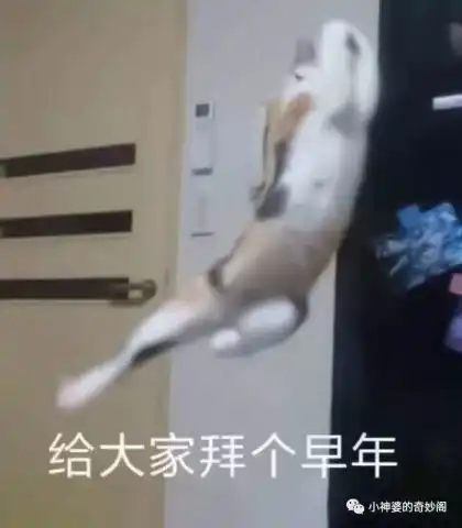 不服来战谢谢你们的关注和时间