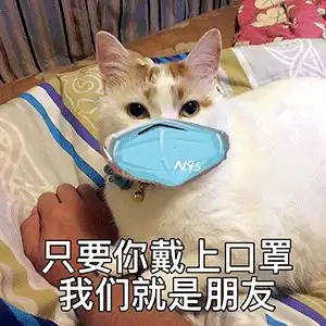 2020,在破产边缘疯狂试探的留学生们