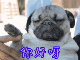 2021真人你好表情包,你好表情动态图片,美女你好打招呼问候