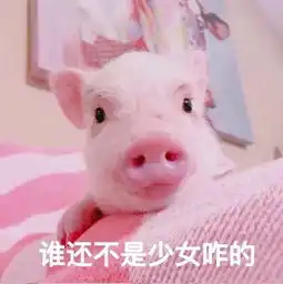 每月1400元就能在上海过肥宅快乐生活那叫活着
