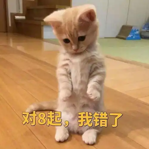 猫猫表情包第十期丨爱情这杯酒,谁喝都得醉