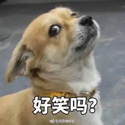 我在山东德州,端午3天假期去哪里好呢各位爱玩儿的宝宝给点建议呗