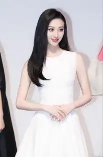 走红毯大红大紫的女星巩俐高圆圆倪妮汤唯刘涛