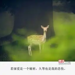 文字控情话伤感短句文字句子堆糖,美好生活研究所