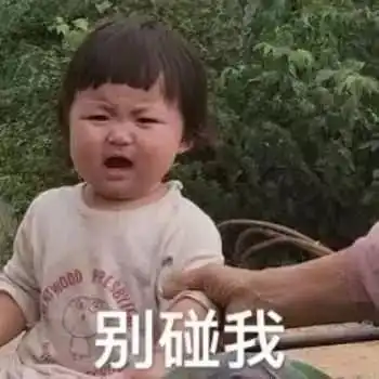你最讨厌的一个梗是什么看完这届网友的答案我默默退出了