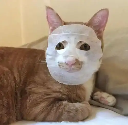 快看,是不是你村里的姑娘