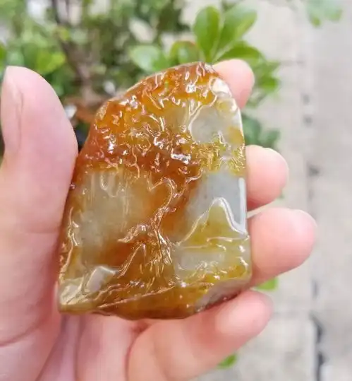 翡翠原石一块金光灿灿的翡翠原石,到底花落谁家