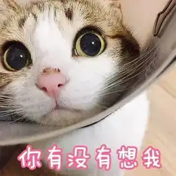 你们的年夜饭好吃么