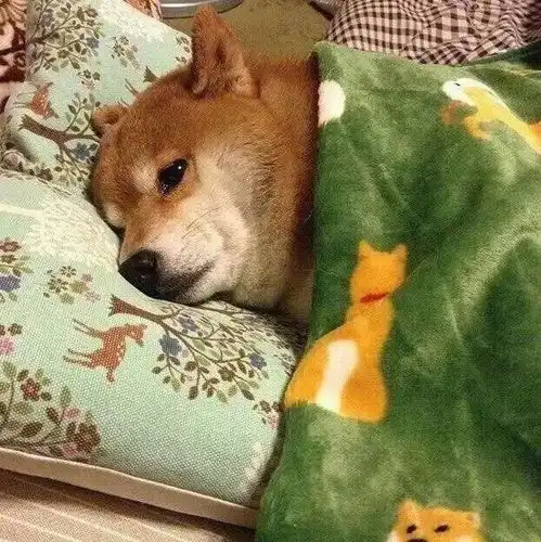 七夕装逼大法单身狗如何发朋友圈