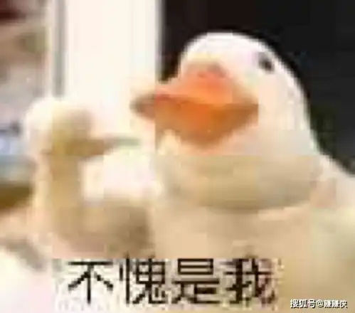 热门表情包图片男和女,我和你,达成共识
