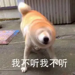 我不管我要妹子表情包