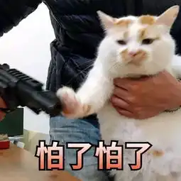 花式坑爹靖江这个熊孩子充游戏点卡被骗近万元,竟然还是人脸识别