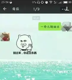 有一种代沟叫爸妈看不懂我的表情包篇末彩蛋