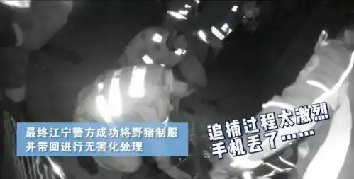 南京一野猪闯进医科大学,表情包疯传警方提醒