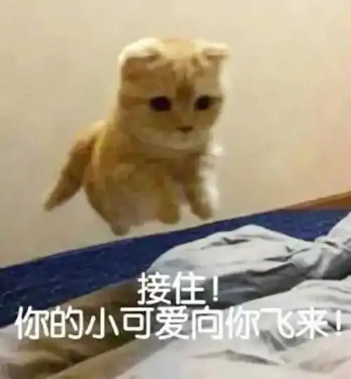 追女孩子的聊天套路两个聊天技巧,让心动女生彻底爱上你