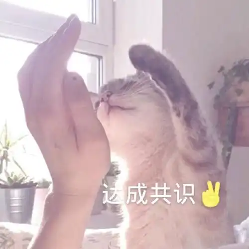 大学生怎么找暑期兼职