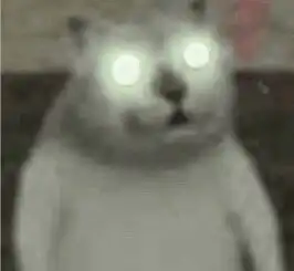 憨憨猫mur猫魔性猫咪表情包第二弹
