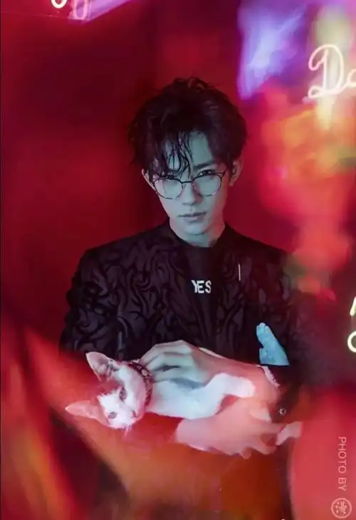 当男明星戴上金丝边眼镜,谁才是你心中斯文败类的最佳人选
