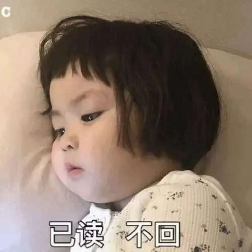 初雪如期而至,明起风力加大