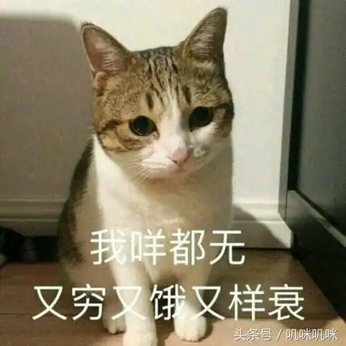 什么情况下您对游戏的花销会达到一千元每周