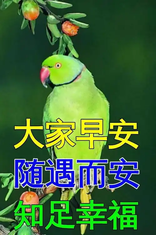 1月13日最漂亮早上好动态表情图片大全,早晨好动图美图大全