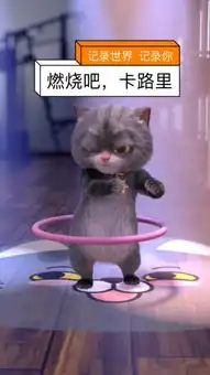 斑布猫的主页快手直播