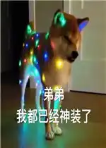 弟弟我都已经神装了表情包图片好玩吗弟弟我都已经神装了表情包图片怎么玩用户评论