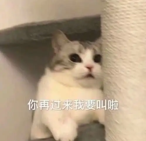 和对象聊天用的可爱表情包