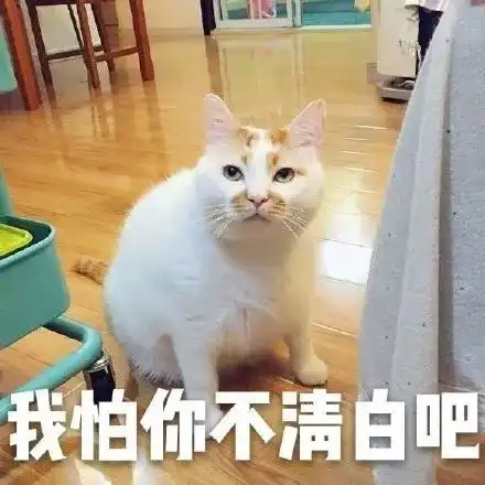2017最火表情包出炉笑着笑着就扎心了赶快右键来收图