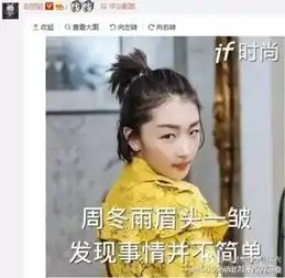 我才是真的赵丽颖是什么梗