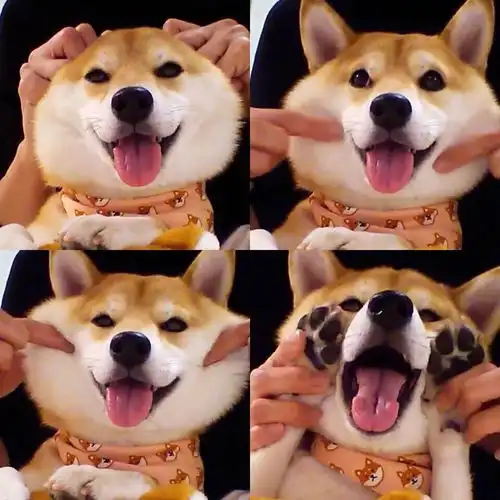 丧